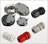 Automotive Coatings